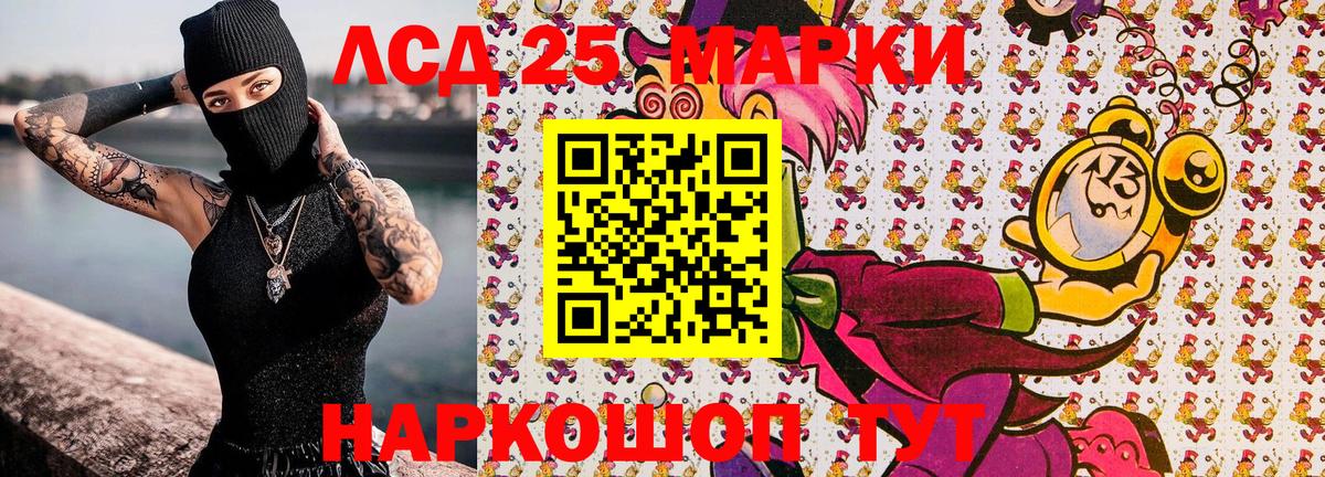 Бердск  купить   Наркотические марки 1500мкг  Вход с VPN  Наркотические марки 1500мкг 