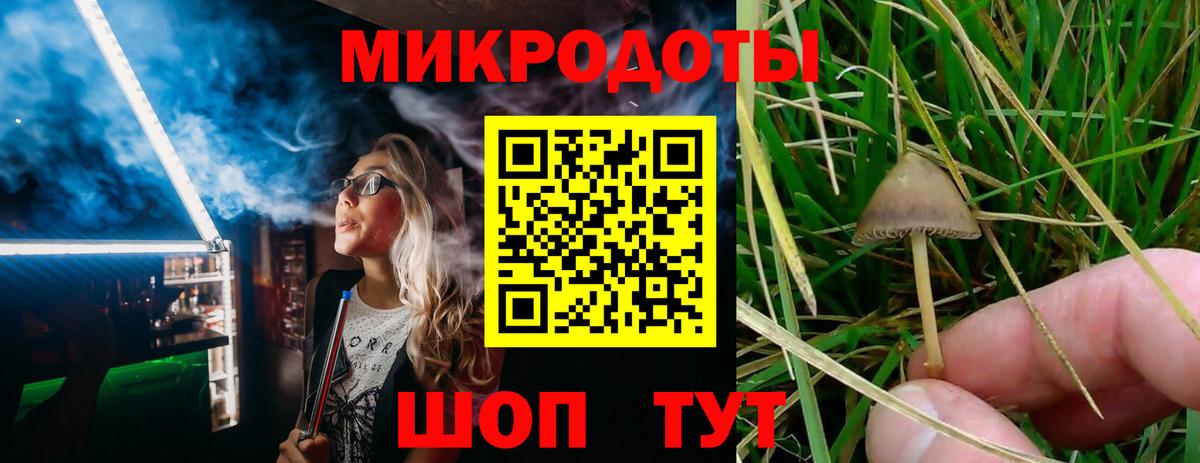 продажа наркотиков  Галлюциногенные грибы мицелий  Вход с VPN  Бердск 